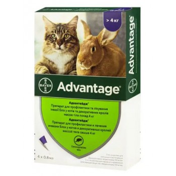  Bayer Краплі на холку для котів від 4 до 8 кг Advantage (Адвантейдж 80) 1шт.