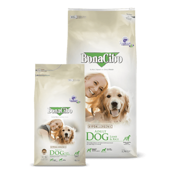 BonaCibo Adult Dog Lamb&Rice 4 кг