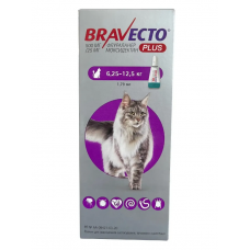 Bravecto Plus краплі для котів вагою 6,25-12,5 кг, 1 піпетка