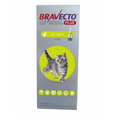 Bravecto Plus краплі для котів вагою 1,2-2,8 кг, 1 піпетка