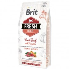 Корм сухий Brit Fresh Beef/Pumpkin Puppy Large для цуценят та молодих собак великих порід з яловичиною та гарбузом 12 кг