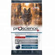 ProScience Adult Dog Salmon & Blueberry 12 кг - корм із лососем, борошном з анчоусів, анчоусною олією та чорницею для підтримання здоров’я шкіри й природного блиску шерсті дорослих собак