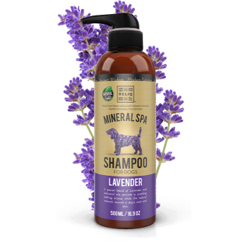 RELIQ Mineral Spa Lavender Shampoo 500 мл