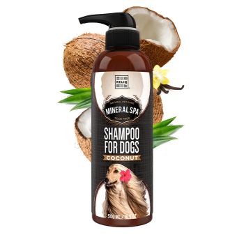 RELIQ Mineral Spa Coconut Shampoo 500 мл