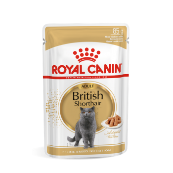 Royal Canin BRITISH SHORTHAIR ADULT 85 гр (12шт)