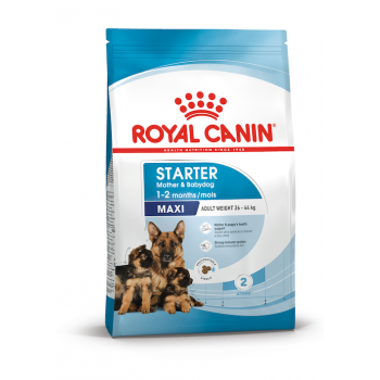 Royal Canin MAXI STARTER 4 кг