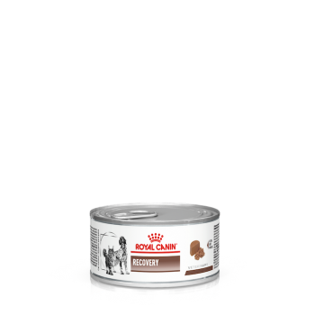 Royal Canin RECOVERY 195 гр